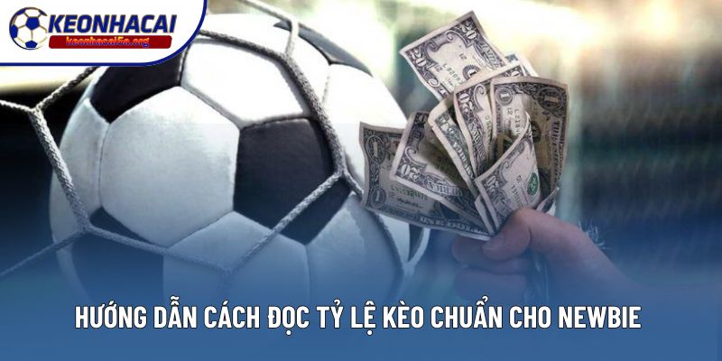 Hướng dẫn cách đọc tỷ lệ kèo chuẩn cho newbie 